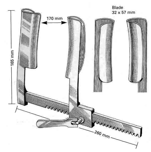 STERNAL EKARTÖR 260 MM